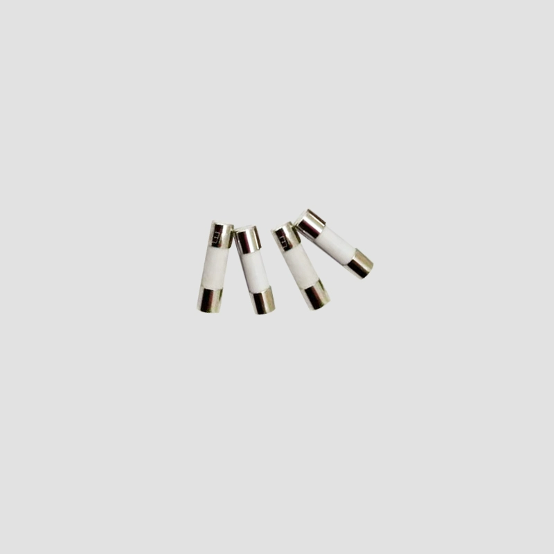 A60L-0001-0450/8R0 FANUC glass fuse