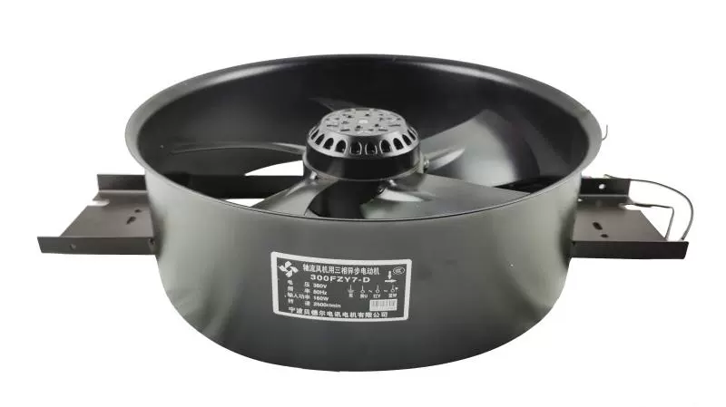Bedel 300FZY7-D 380V 160W industrial fan Bedel 300FZY7-D 380V 160W industrial fan